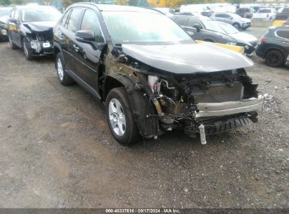 Lot #2997778490 2020 TOYOTA RAV4 XLE