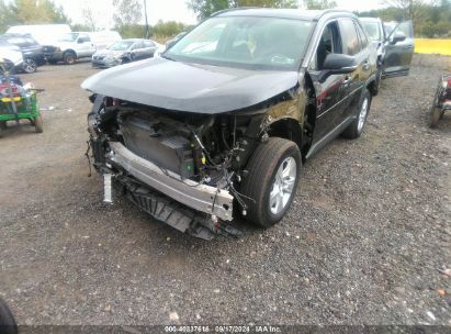 Lot #2997778490 2020 TOYOTA RAV4 XLE