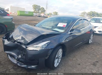 Lot #3035078000 2019 TESLA MODEL 3 LONG RANGE/MID RANGE/STANDARD RANGE/STANDARD RANGE PLUS