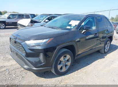 Lot #2996535402 2022 TOYOTA RAV4 XLE