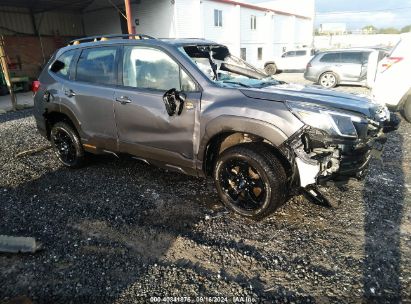 Lot #2991586558 2023 SUBARU FORESTER WILDERNESS