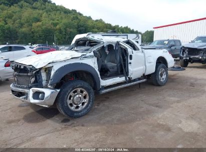 Lot #3035077973 2011 FORD F-250 XLT