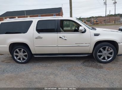 Lot #2992827450 2008 CADILLAC ESCALADE ESV STANDARD