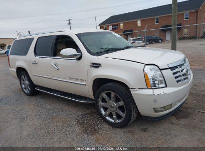 Lot #2992827450 2008 CADILLAC ESCALADE ESV STANDARD