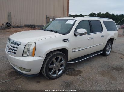 Lot #2992827450 2008 CADILLAC ESCALADE ESV STANDARD