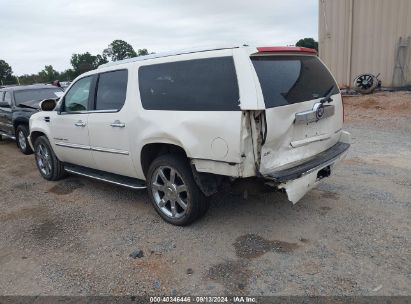 Lot #2992827450 2008 CADILLAC ESCALADE ESV STANDARD