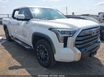 Lot #2992834169 2024 TOYOTA TUNDRA HYBRID LIMITED