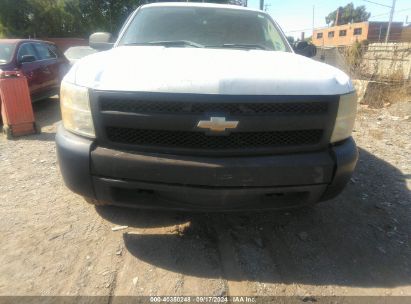 Lot #2996535374 2007 CHEVROLET SILVERADO 1500 WORK TRUCK