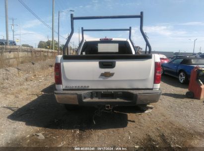 Lot #2996535374 2007 CHEVROLET SILVERADO 1500 WORK TRUCK