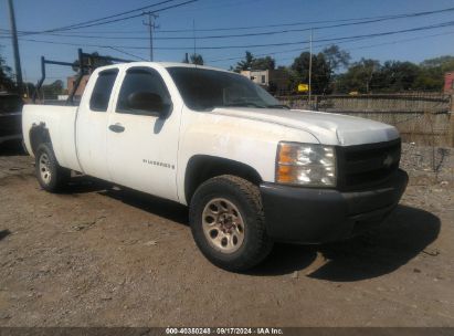 Lot #2996535374 2007 CHEVROLET SILVERADO 1500 WORK TRUCK