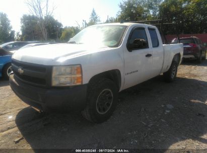 Lot #2996535374 2007 CHEVROLET SILVERADO 1500 WORK TRUCK