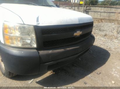 Lot #2996535374 2007 CHEVROLET SILVERADO 1500 WORK TRUCK