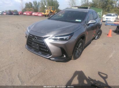 Lot #2991586788 2022 LEXUS NX 350