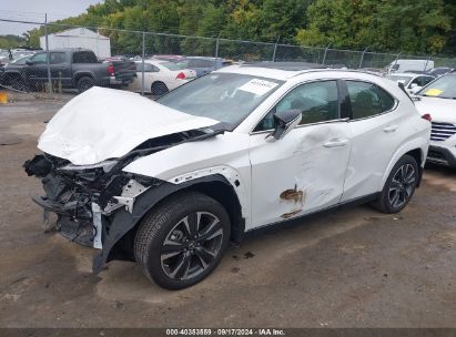 Lot #3037549859 2024 LEXUS UX 250H PREMIUM