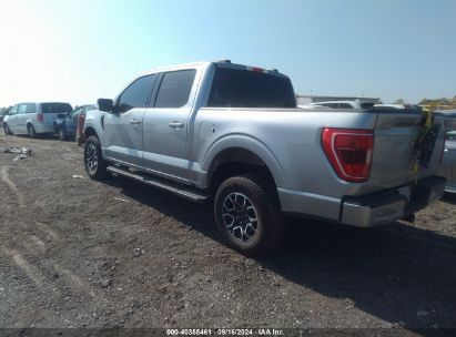 Lot #3056071711 2023 FORD F-150 XLT