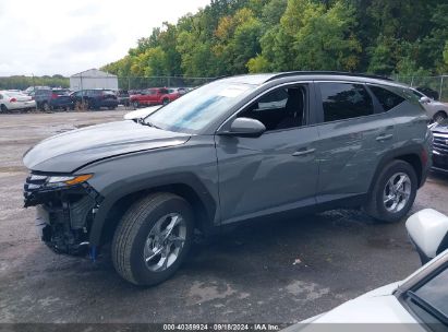 Lot #2997778660 2024 HYUNDAI TUCSON SEL