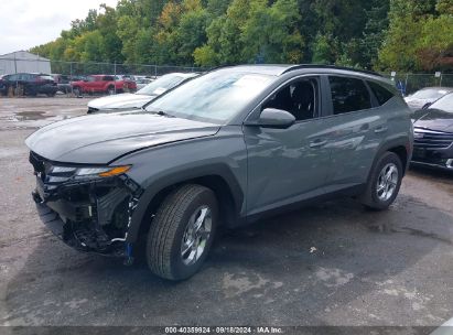 Lot #2997778660 2024 HYUNDAI TUCSON SEL