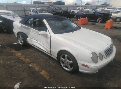 Lot #3035077917 2003 MERCEDES-BENZ CLK 430