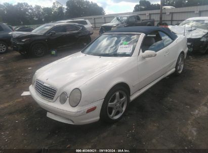 Lot #3035077917 2003 MERCEDES-BENZ CLK 430