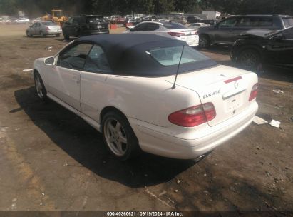 Lot #3035077917 2003 MERCEDES-BENZ CLK 430