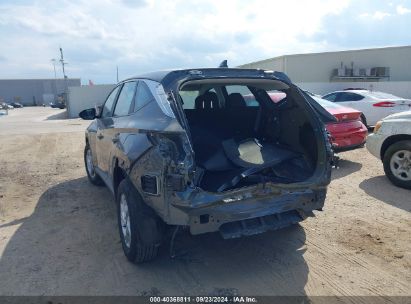 Lot #2990354939 2023 HYUNDAI TUCSON SE