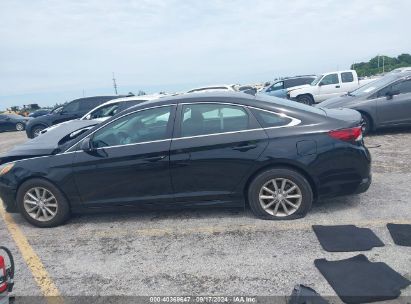 Lot #2996535330 2019 HYUNDAI SONATA SE