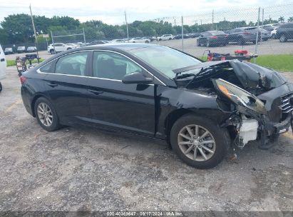 Lot #2996535330 2019 HYUNDAI SONATA SE