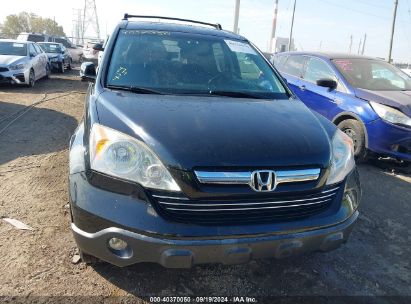 Lot #3005351540 2007 HONDA CR-V EX-L