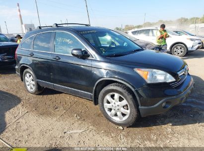 Lot #3005351540 2007 HONDA CR-V EX-L