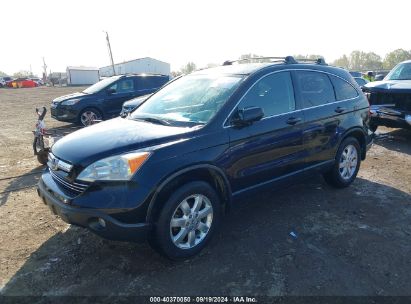 Lot #3005351540 2007 HONDA CR-V EX-L