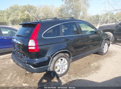 Lot #3005351540 2007 HONDA CR-V EX-L