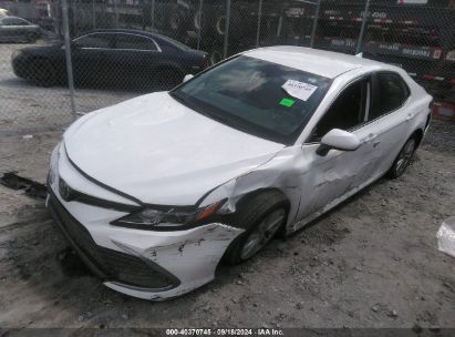 Lot #2992818973 2021 TOYOTA CAMRY LE