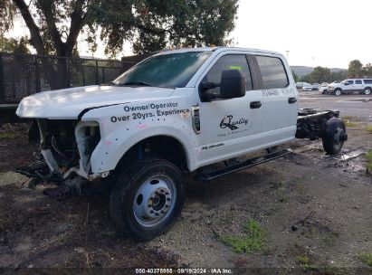 Lot #3056473583 2019 FORD F-450 CHASSIS XL