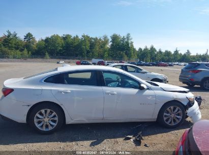 Lot #2996535286 2020 CHEVROLET MALIBU FWD LT