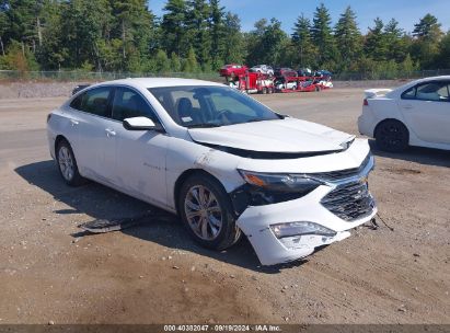 Lot #2996535286 2020 CHEVROLET MALIBU FWD LT