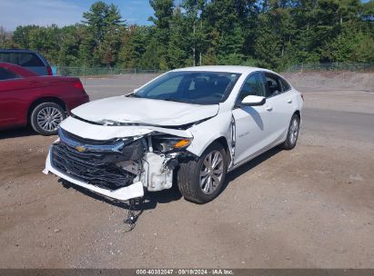 Lot #2996535286 2020 CHEVROLET MALIBU FWD LT