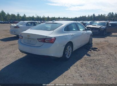 Lot #2996535286 2020 CHEVROLET MALIBU FWD LT