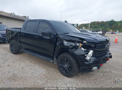 Lot #2992834149 2024 CHEVROLET SILVERADO 1500 4WD  SHORT BED LT TRAIL BOSS