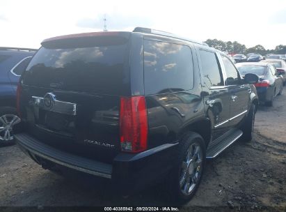 Lot #3035077817 2009 CADILLAC ESCALADE STANDARD