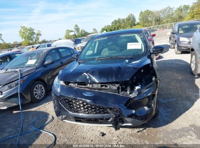 Lot #2990356974 2020 FORD ESCAPE SE