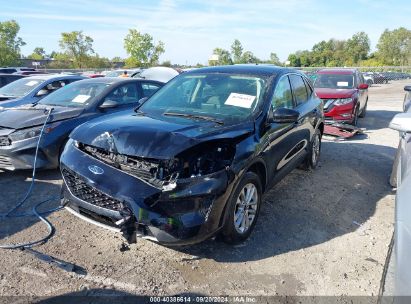 Lot #2990356974 2020 FORD ESCAPE SE