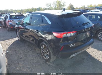 Lot #2990356974 2020 FORD ESCAPE SE