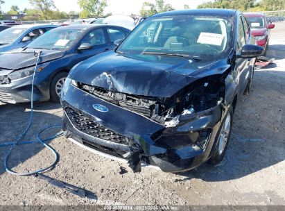 Lot #2990356974 2020 FORD ESCAPE SE