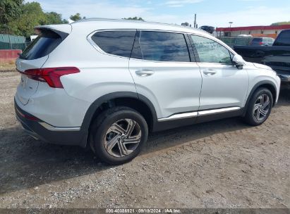 Lot #2990350852 2023 HYUNDAI SANTA FE SEL