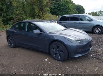 Lot #2997777886 2023 TESLA MODEL 3 REAR-WHEEL DRIVE