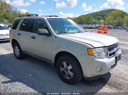 Lot #2997777881 2009 FORD ESCAPE XLT