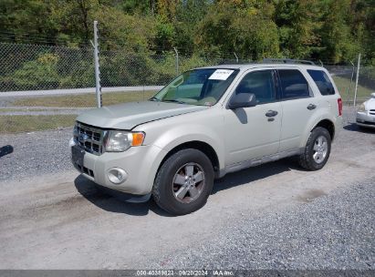 Lot #2997777881 2009 FORD ESCAPE XLT