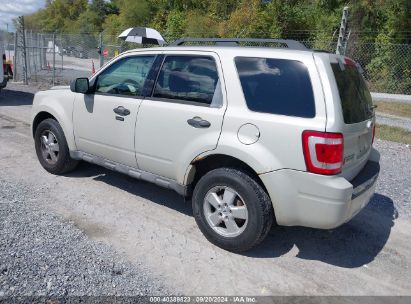 Lot #2997777881 2009 FORD ESCAPE XLT