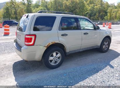 Lot #2997777881 2009 FORD ESCAPE XLT