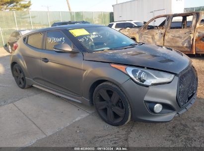 Lot #2997777879 2014 HYUNDAI VELOSTER TURBO W/BLACK